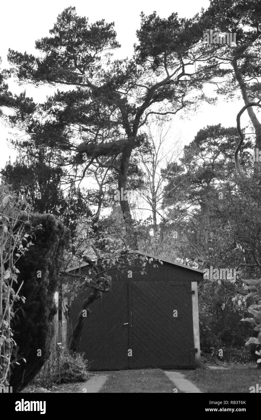 Big tree house Black and White Stock Photos Images Alamy