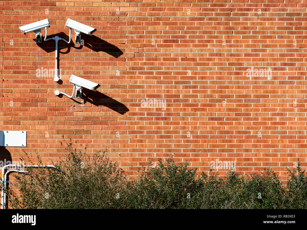 Three security cameras arranged and mounted on a red brick wall with