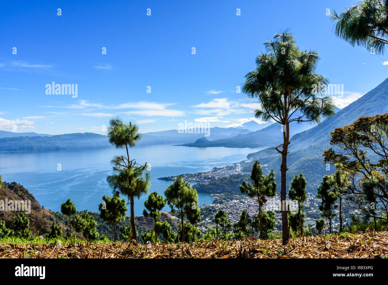 View of Lake Atitlan & 5 volcanoes looking from hilltop maize field in Guatemalan highlands. Stock Photo