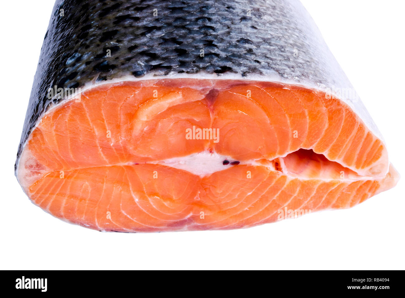 Fresh salmon steak isolated on the white background. Salmon Red Fish Steak. Large Pile of trout steak. Big organic steaks of salmon lined up. Big piec Stock Photo