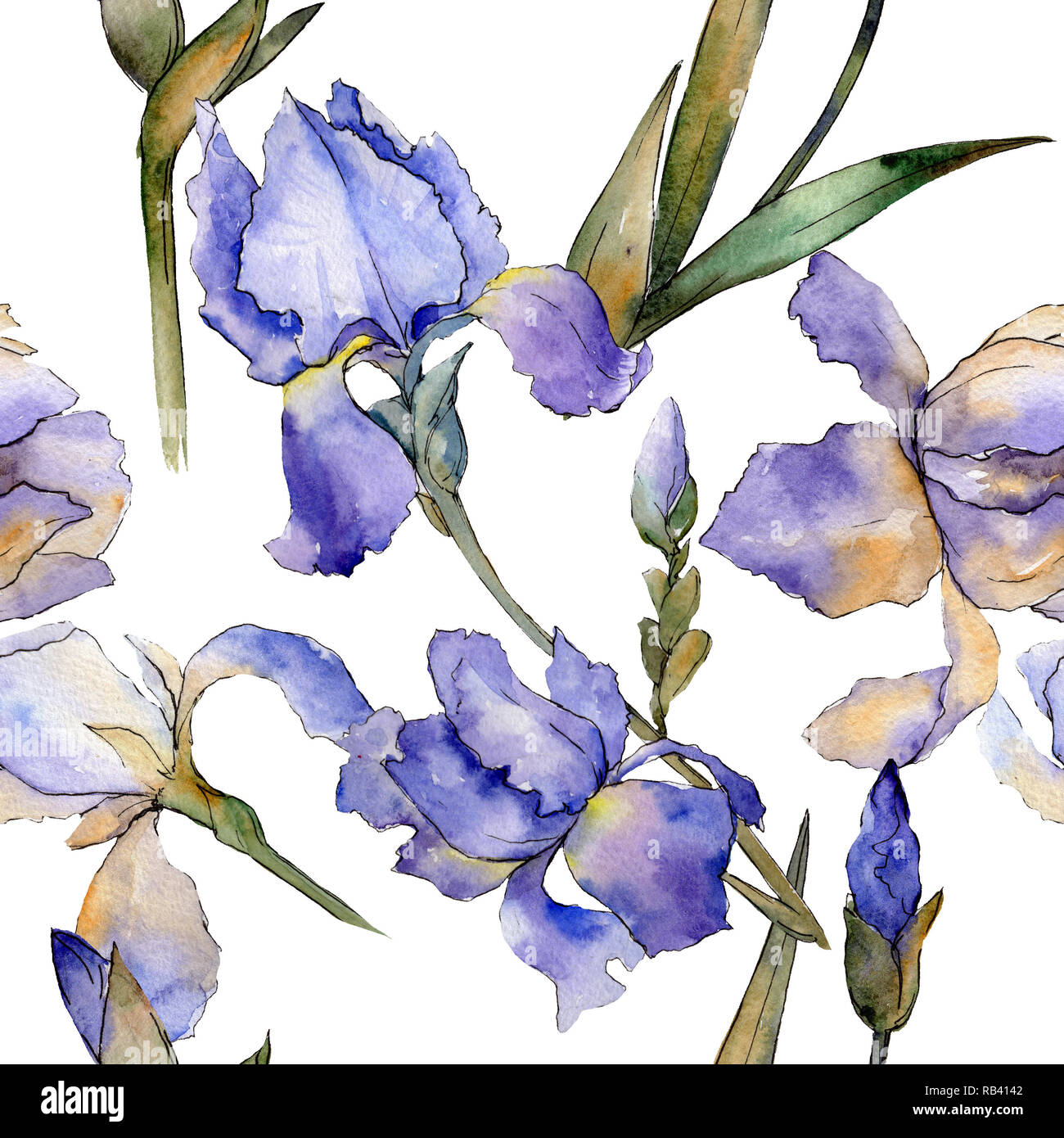 Purple iris floral botanical flower 