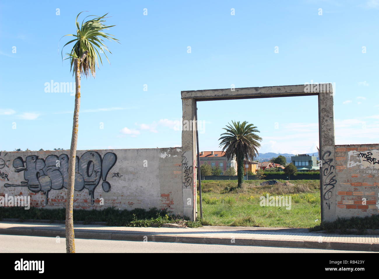 palm trees, fence and graffiti in Gijon, Asturias Stock Photo