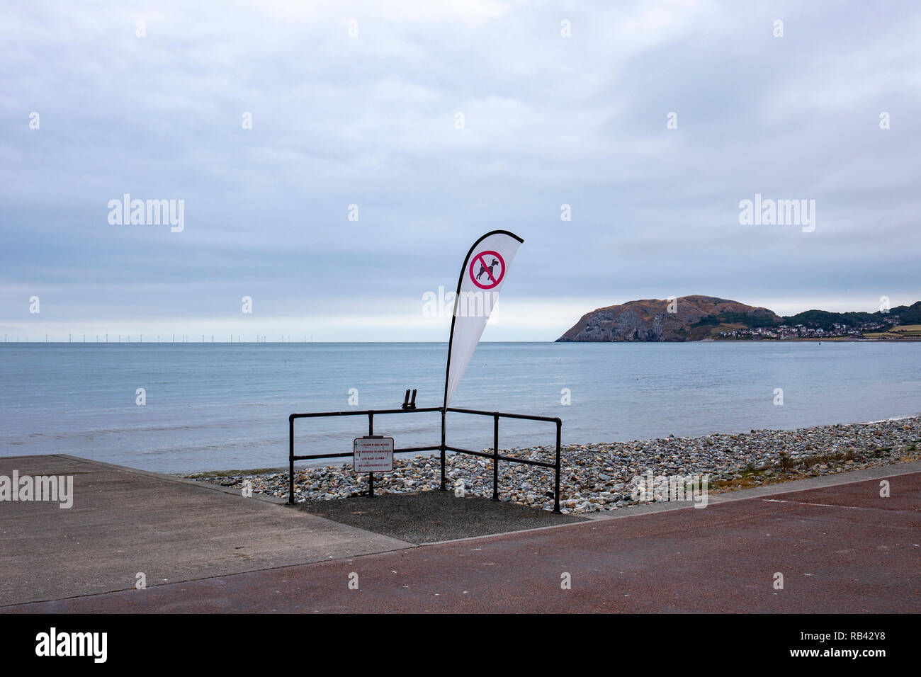 Flag flying warning that dogs are not allowed on the beach in Llandudno Wales UK Stock Photo