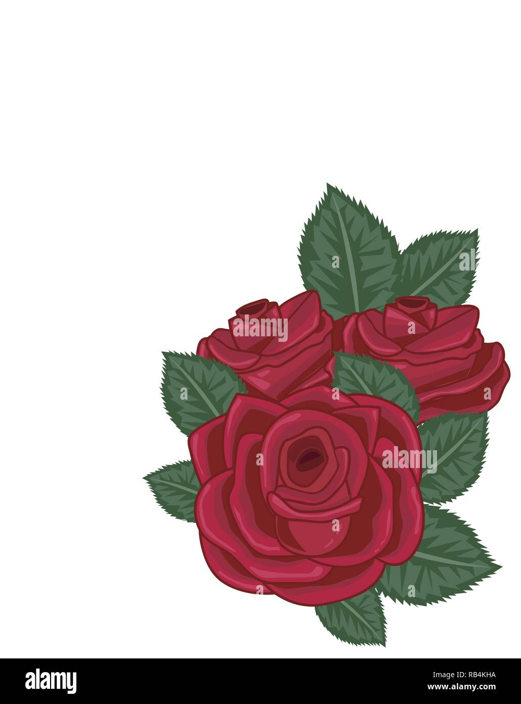 red roses vector illustration on white Stock Vector Image & Art - Alamy
