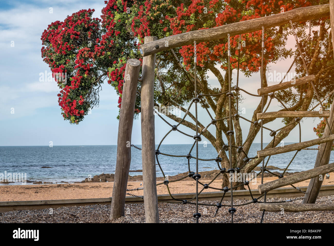 A playground by the beach with a beautiful blooming pohutukawa tree and the sea in the background Stock Photo