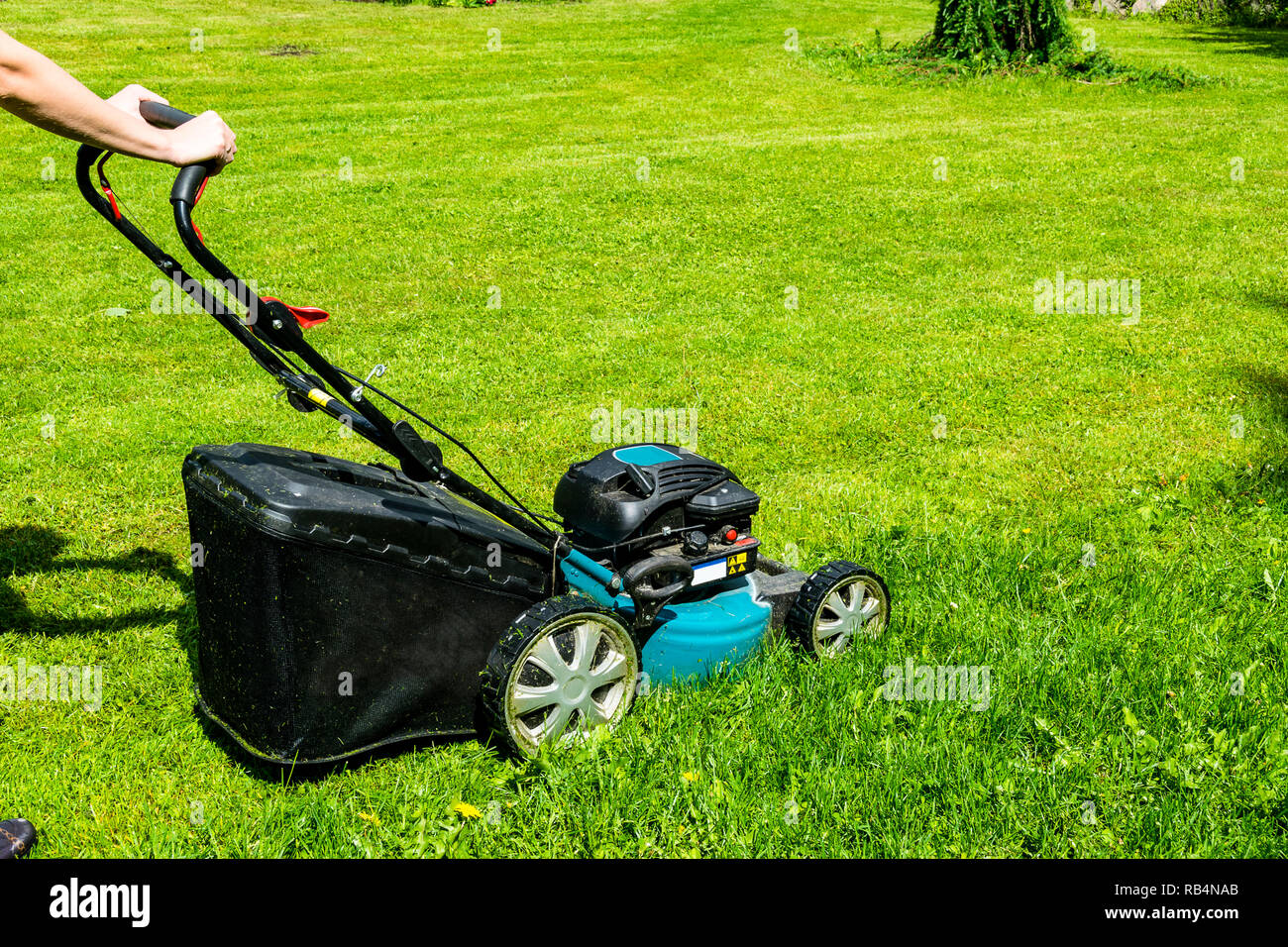 Beautiful girl cuts the lawn, Mowing lawns, Lawn mower on green grass