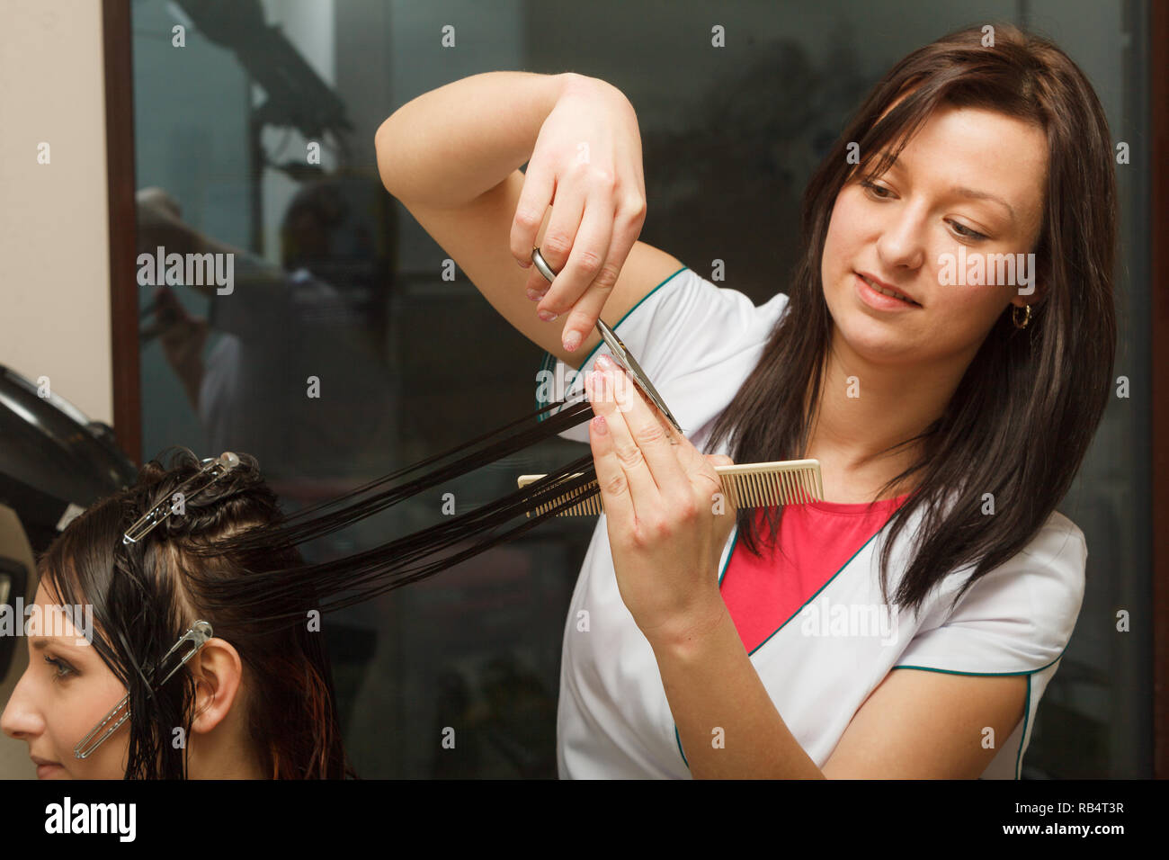 Hairdresser cutting dark hair using professional scissors, taking care