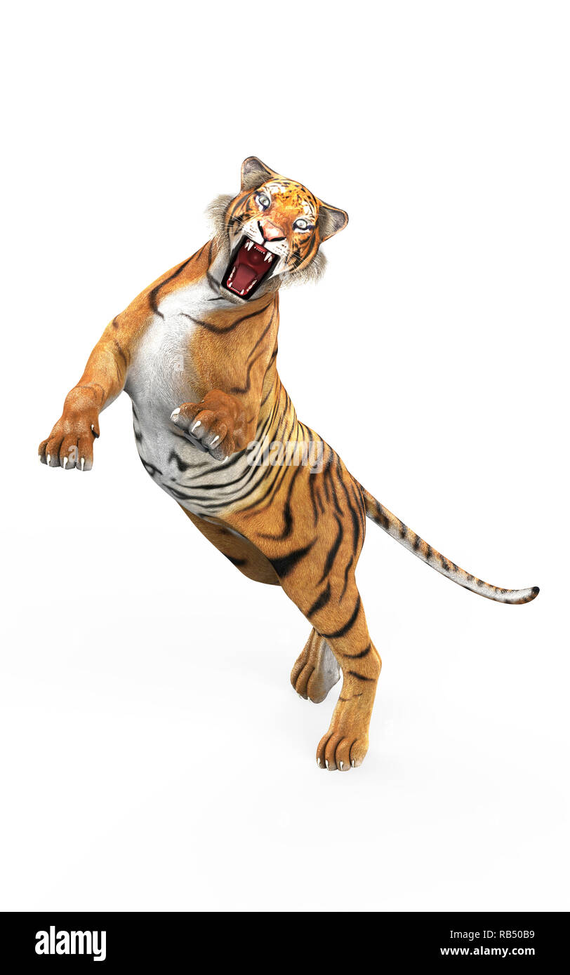 Bengal Tiger Standing Growl 3d Renderin Stock Illustration