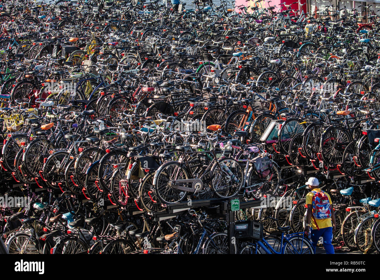 The Netherlands, Amsterdam, Central station, bicycle storage or parking  Stock Photo - Alamy