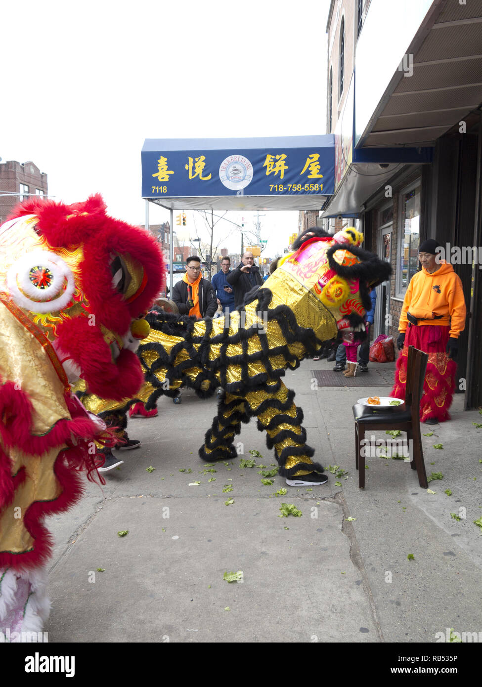Climax of Lion Dance festival. Lion 'eats' food, vegetables, and spits them out, bringing good luck to shop owners on Chinese New Year in NYC, 2017. Stock Photo