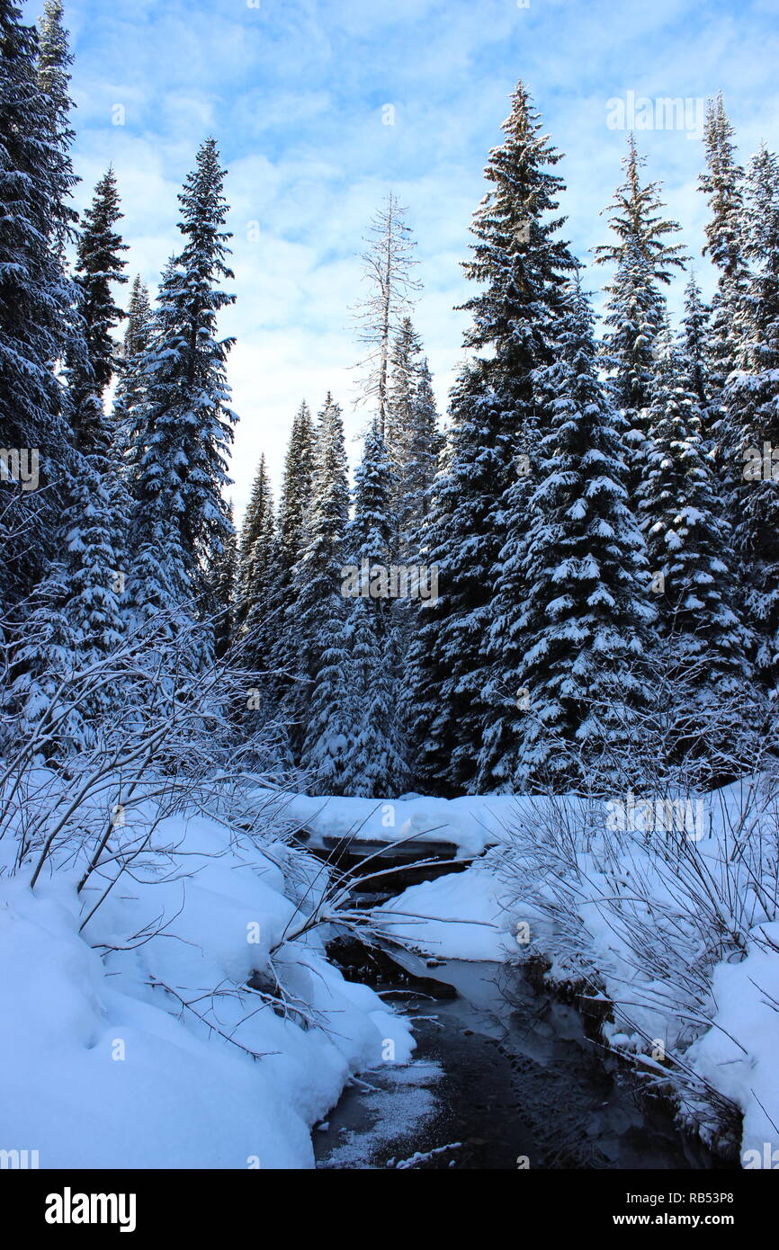 Winter Scene in the Mountains Stock Photo
