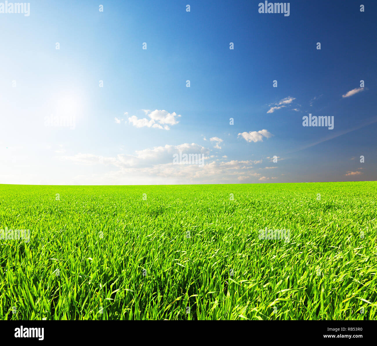Green field under blue cloudy sky with sun Stock Photo - Alamy