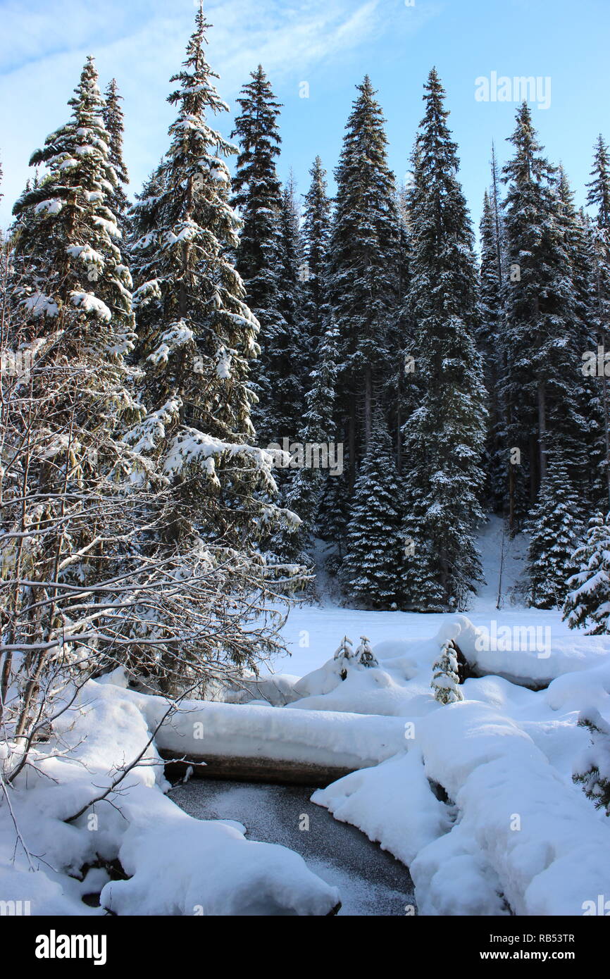 Winter Scene in the Mountains Stock Photo