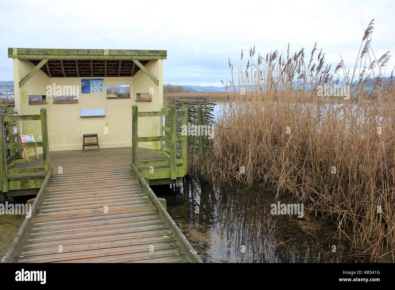 Boardwalk leading to Viewing Screen Hide at Conwy RSPB Reserve, North Wales Stock Photo