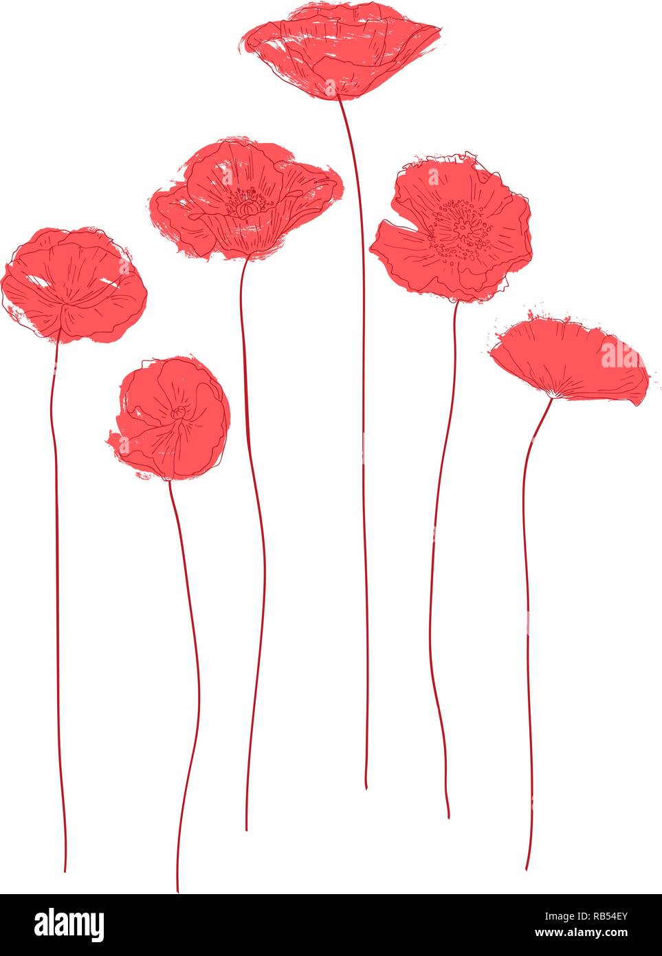 Abstract red poppies on a white background. Vector illustration Stock ...