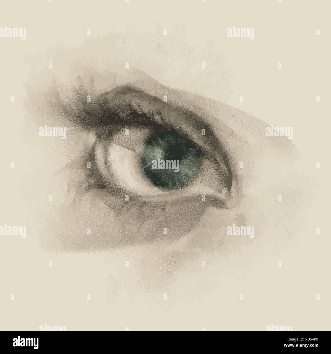 Realistic sketch of beautiful woman eye drawn by hand. Vector ...