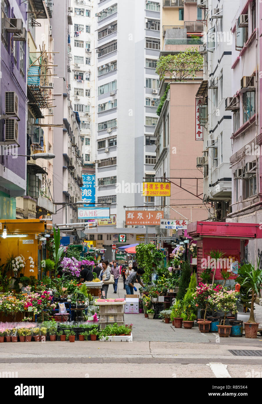 Small flower market along Gresson St, Wan Chai, Hong Kong Stock Photo