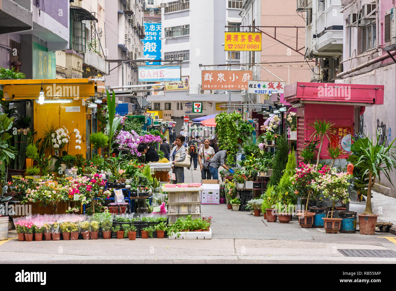 Small flower market along Gresson St, Wan Chai, Hong Kong Stock Photo