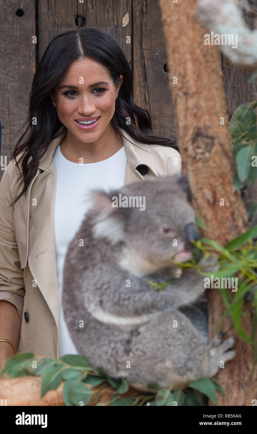Meghan Markle, Duchess of Sussex, and Prince Harry Duke of Sussex