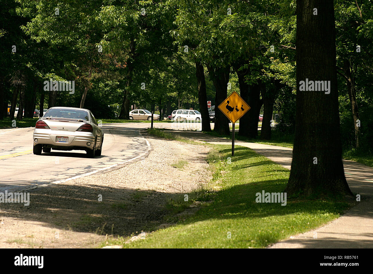 Ducks crossing road sign Stock Photo - Alamy