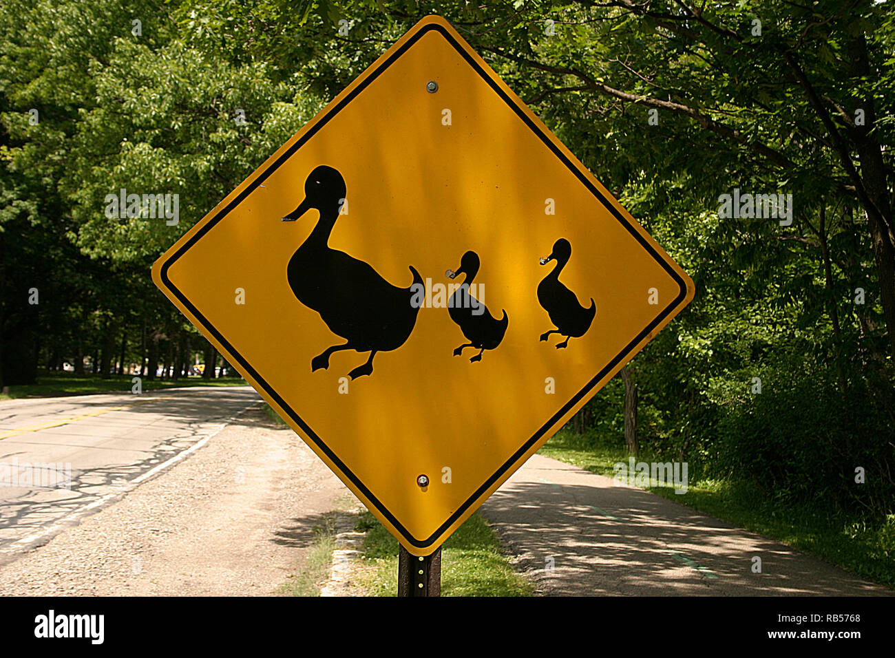 Ducks crossing road sign Stock Photo