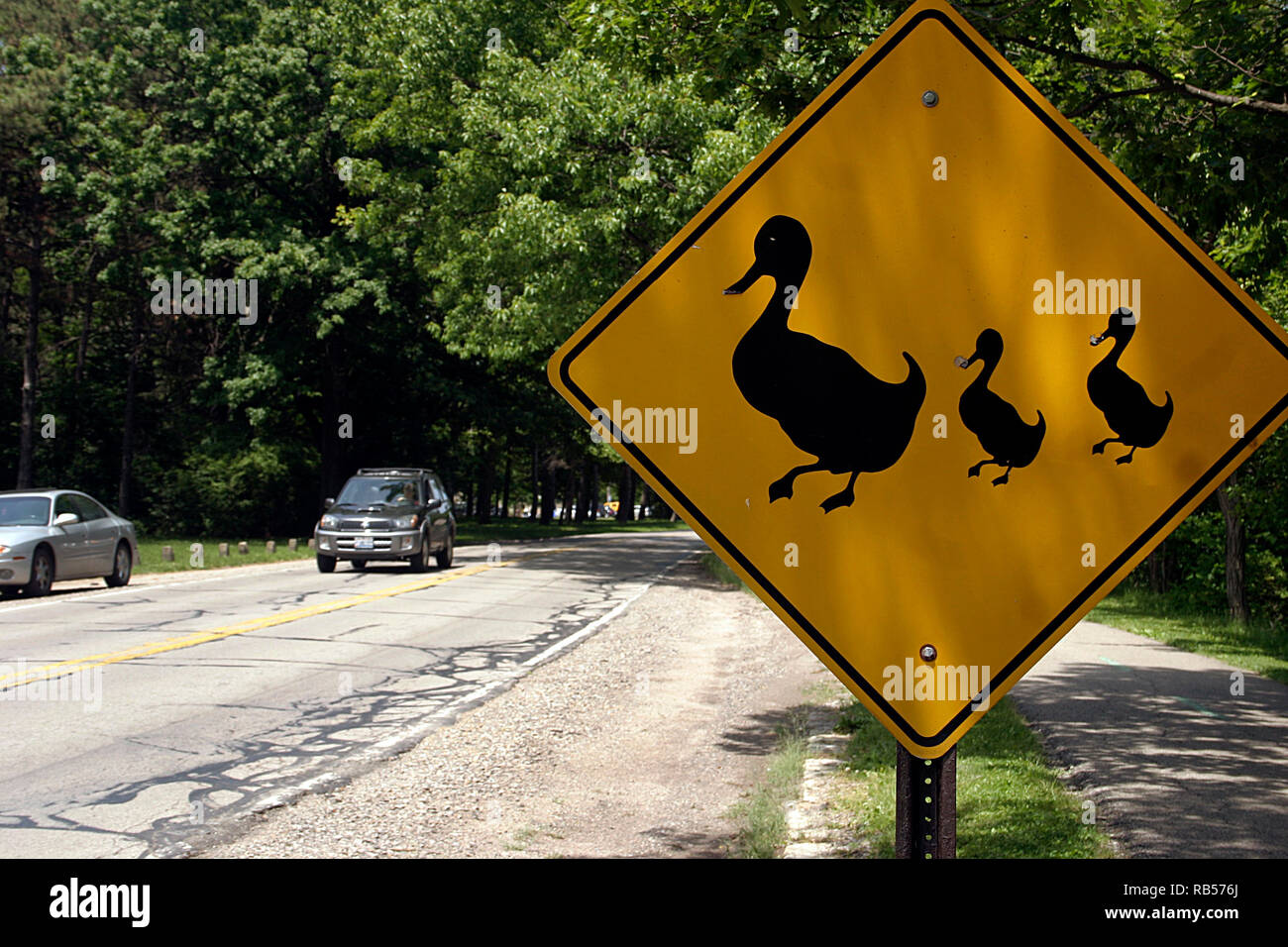 Ducks crossing road sign Stock Photo
