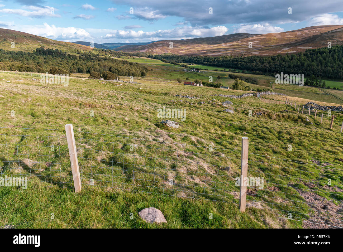 Impressions from Cairngorms national park in Scotland, UK in August 2018. Stock Photo