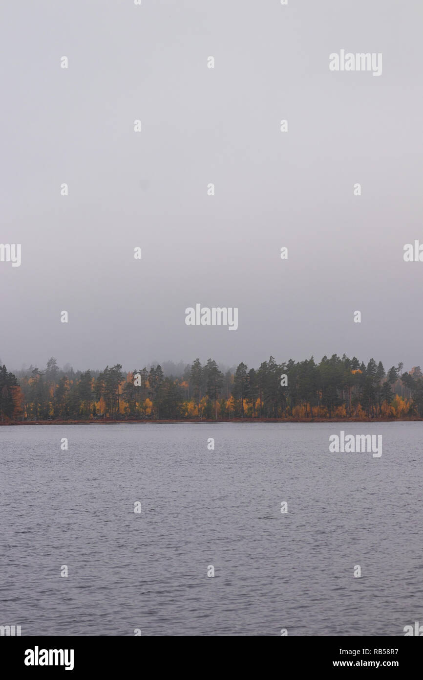 Autumn color in a forest with fog over a lake Stock Photo - Alamy