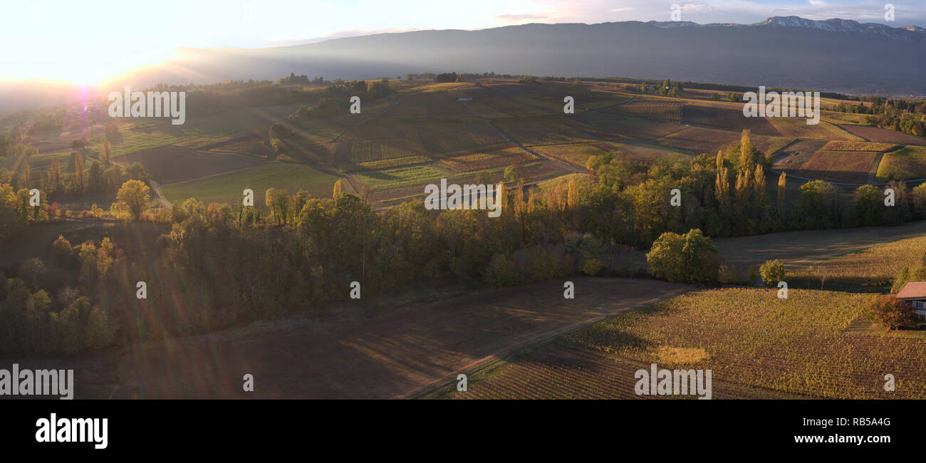 Aerial panorama of the Swiss winemakers village of Dardagny in the Canton of Geneva with its vineyards and the Jura mountains in the background Stock Photo
