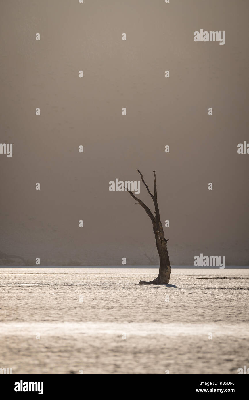 Sossuvlei in namibia hi-res stock photography and images - Alamy