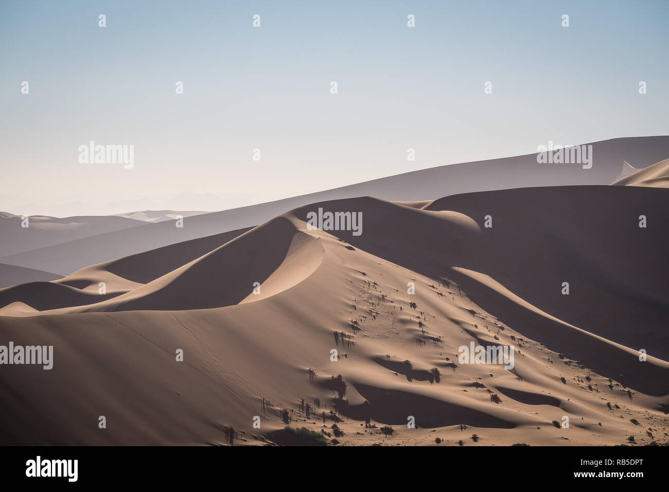 Dead tree in deadvlei hi-res stock photography and images - Alamy