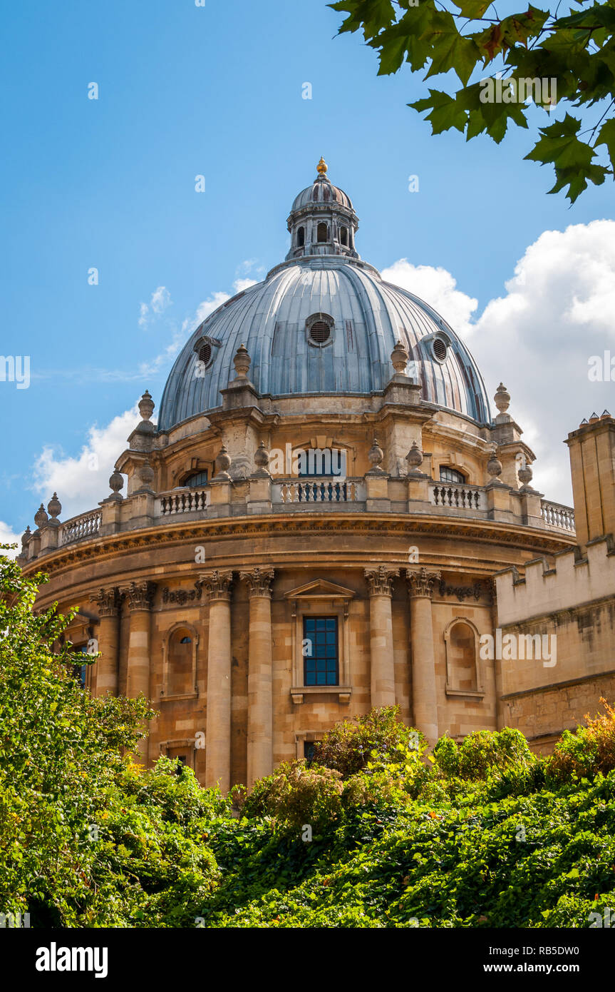 The Radcliffe Camera in Oxford framed by greenery from a new and different angle. 2018 Stock Photo
