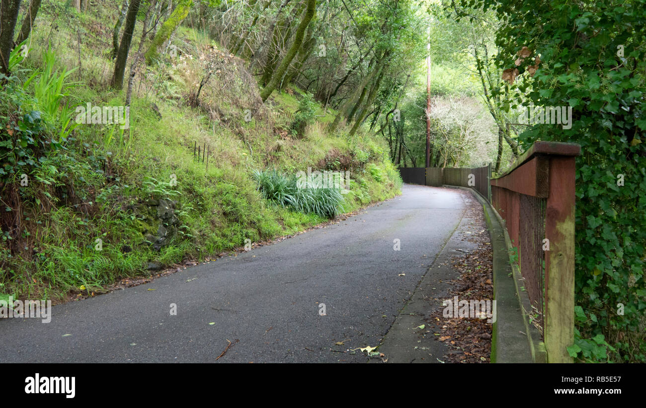 The narrow ivy road hi-res stock photography and images - Alamy