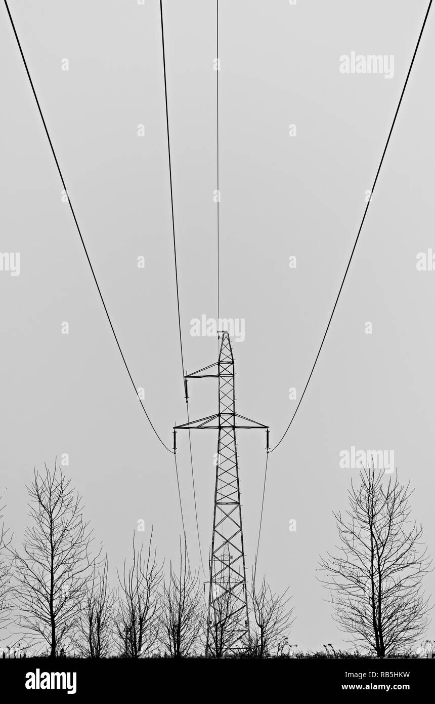 A photo of electricity line with trees next to it Stock Photo Alamy