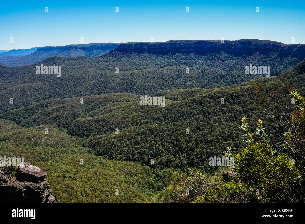 Blue Mountains NSW Stock Photo Alamy