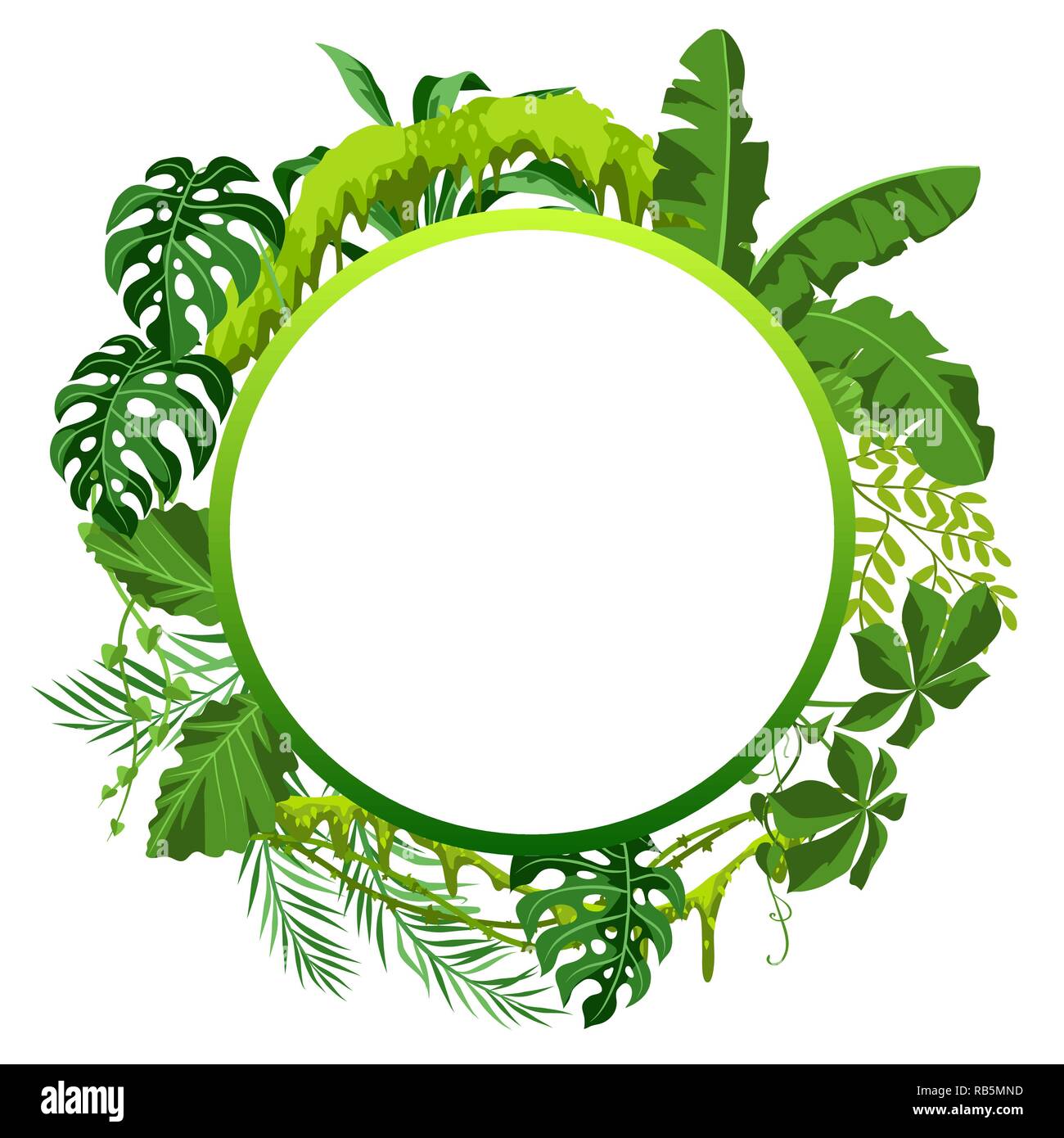 Background with jungle plants. Stock Vector
