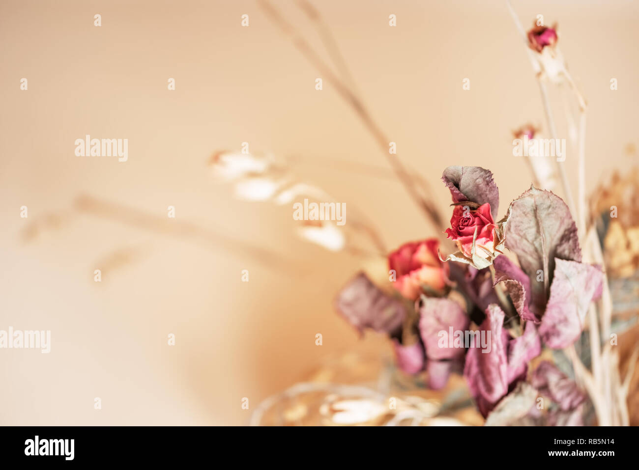 The bouquet of the dried tiny roses on a beige background Stock Photo ...