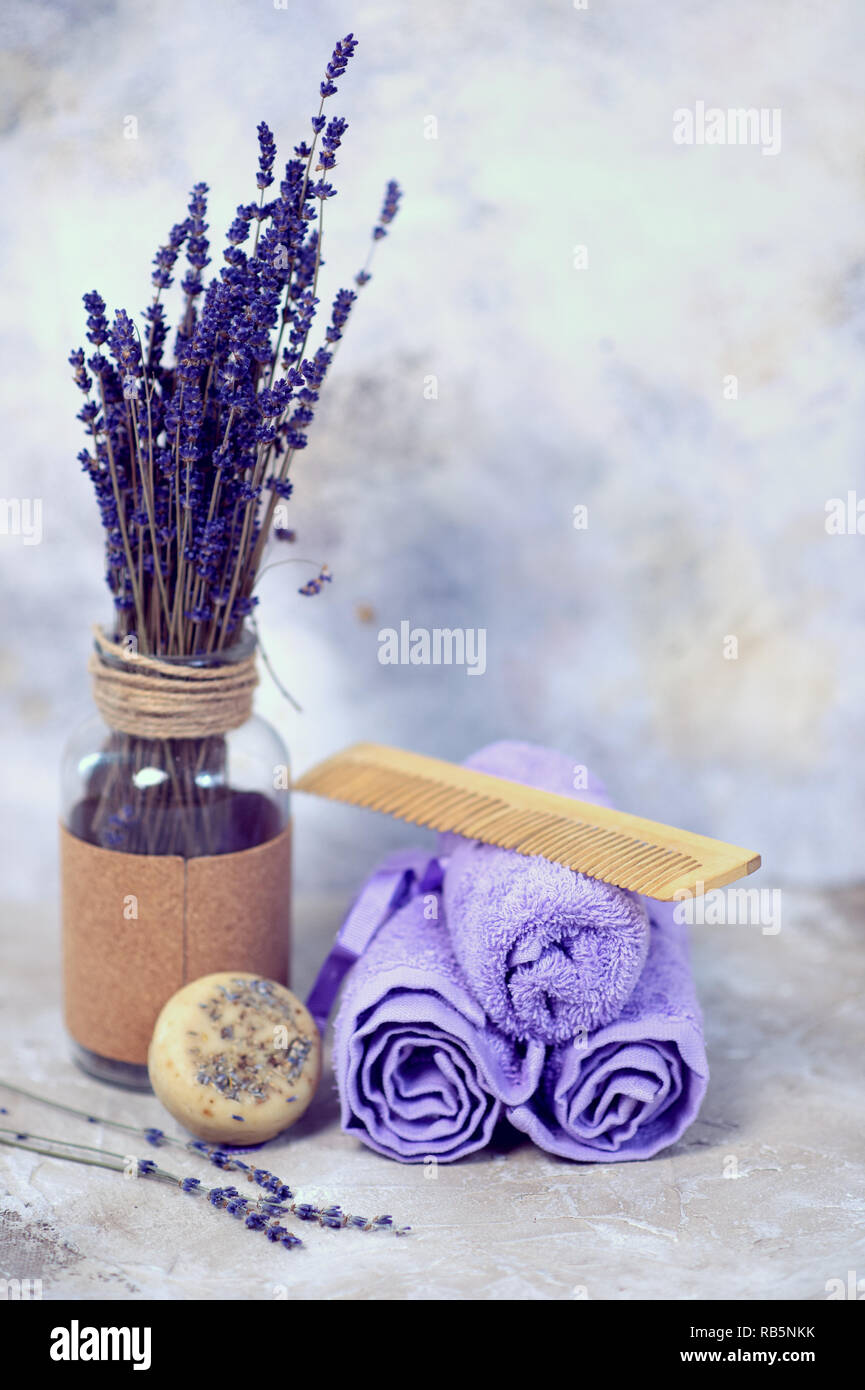lavender plants for zone 7 English Lavender