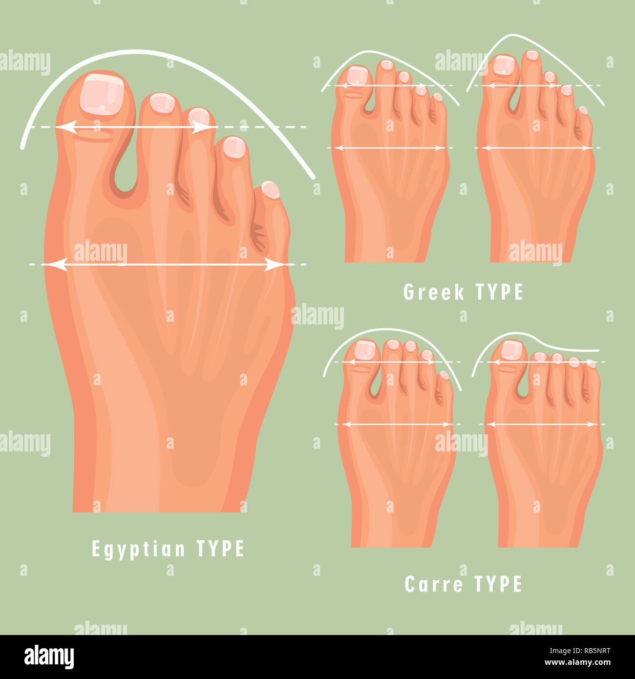 Normal Foot Stock Vector Images - Alamy