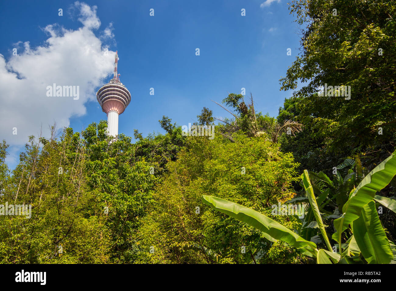 KL Tower, Bukit Nanas, Kuala Lumpur, Malaysia Stock Photo