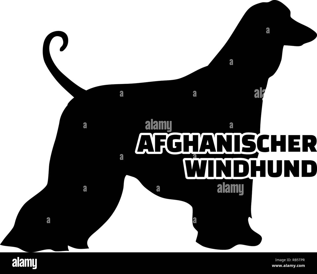 Afghan Hound silhouette real with word german Stock Photo Alamy