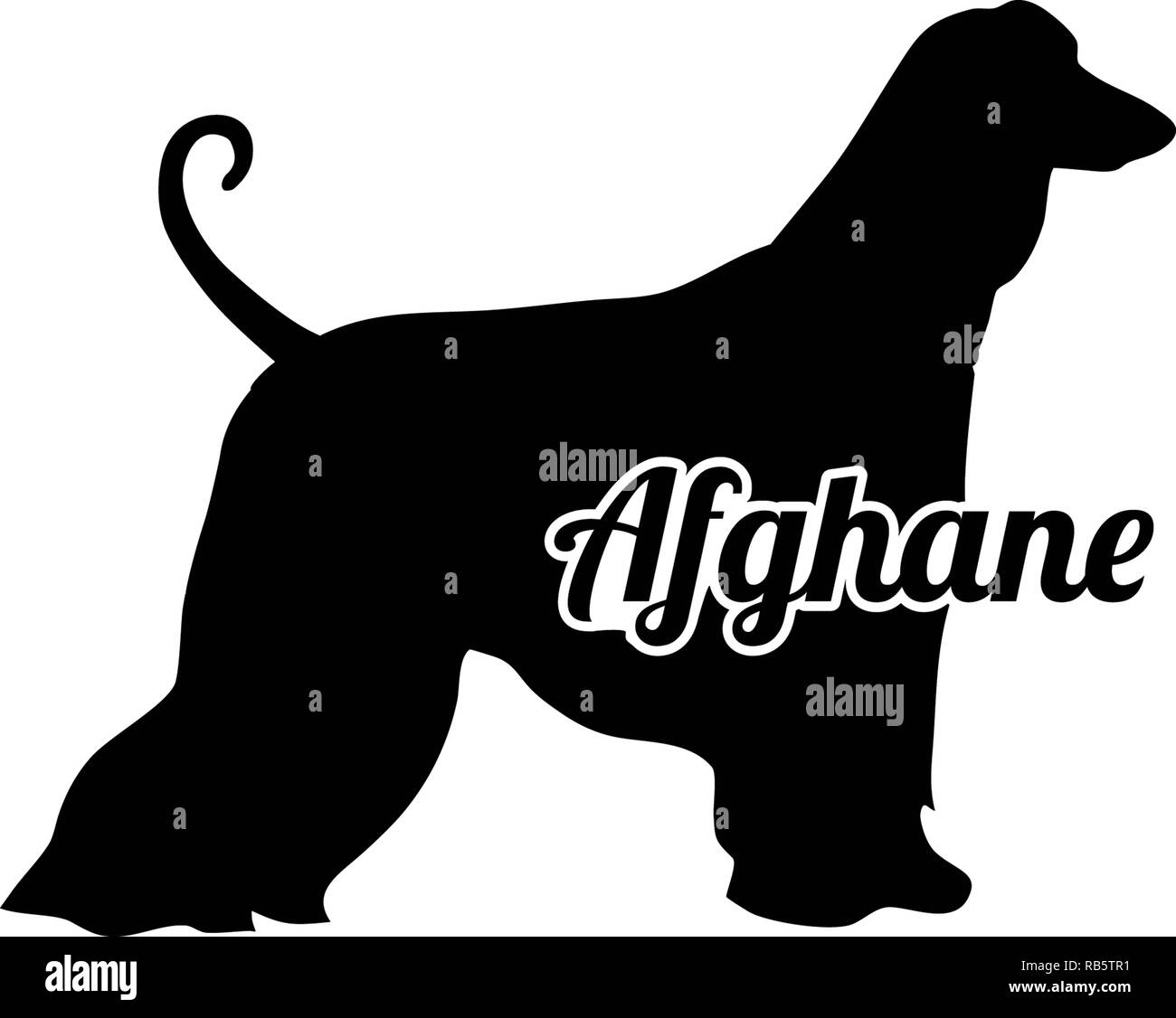 Afghan Hound silhouette real with word in german Stock Photo