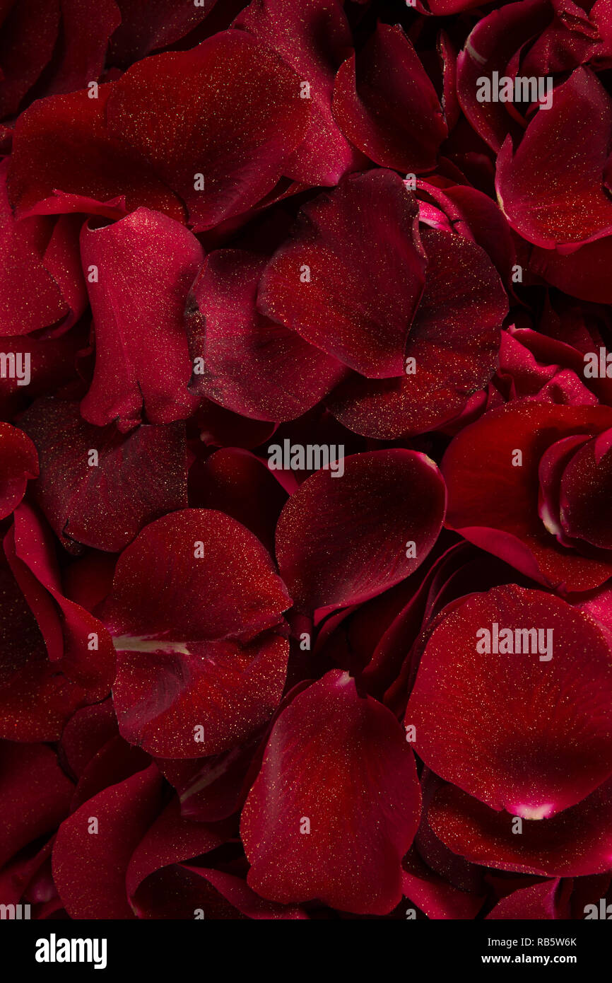 Red rose petals hi-res stock photography and images - Alamy
