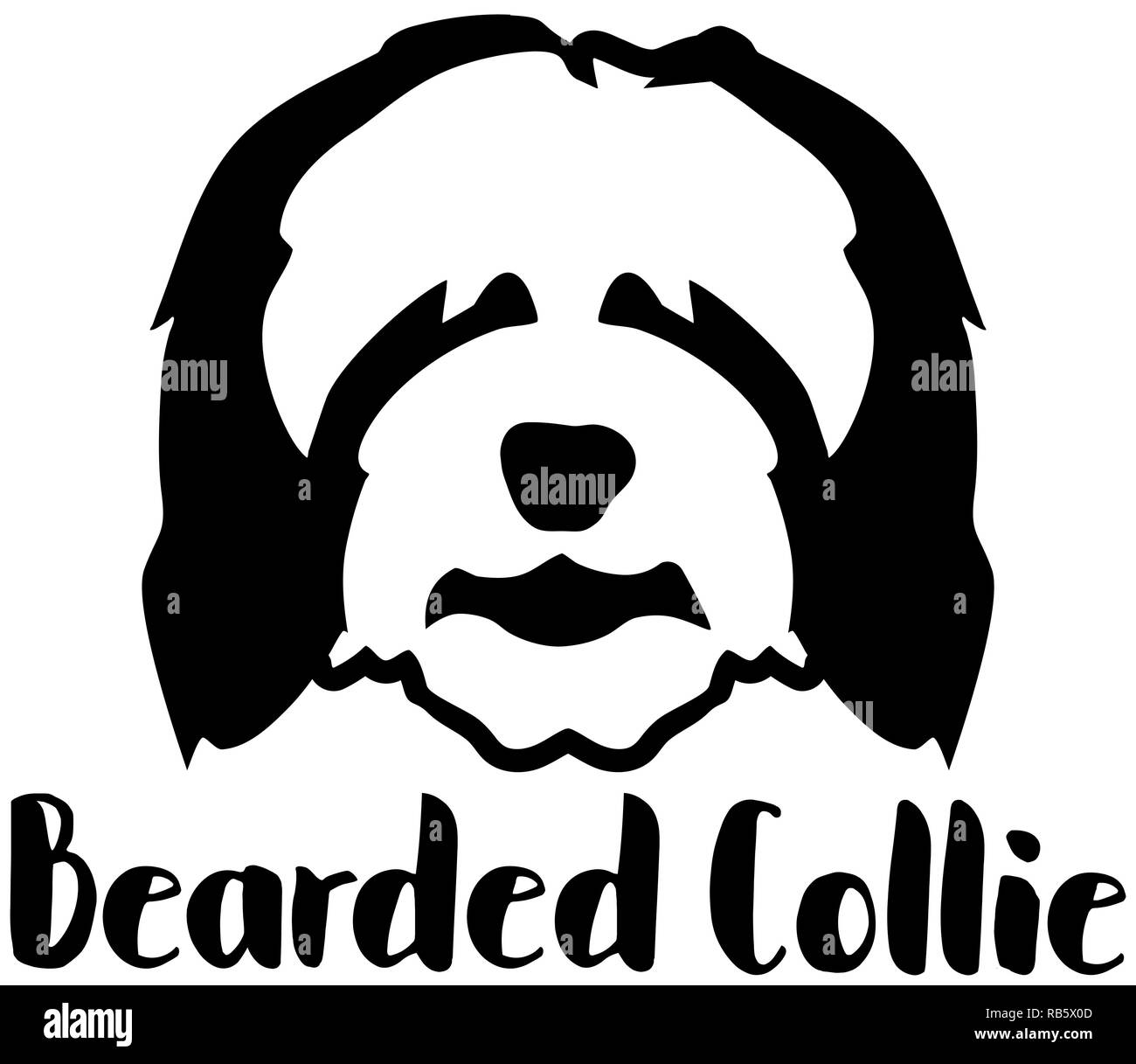 Bearded Collie dog head with word Stock Photo