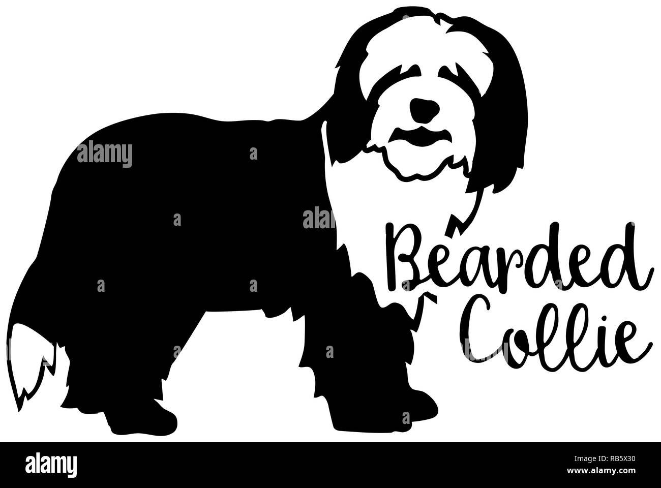 Bearded Collie dog silhouette black and white with word Stock Photo
