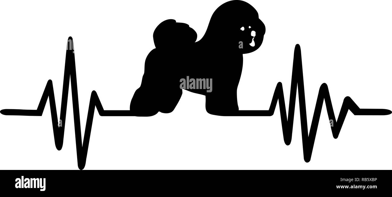 Heartbeat pulse line with Bichon Frise dog silhouette Stock Photo