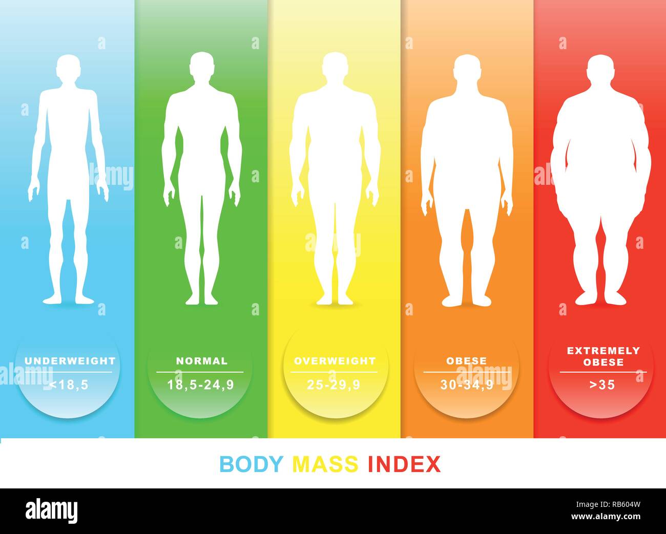 BMI, body mass index chart, vector illustration. Obese, overweight