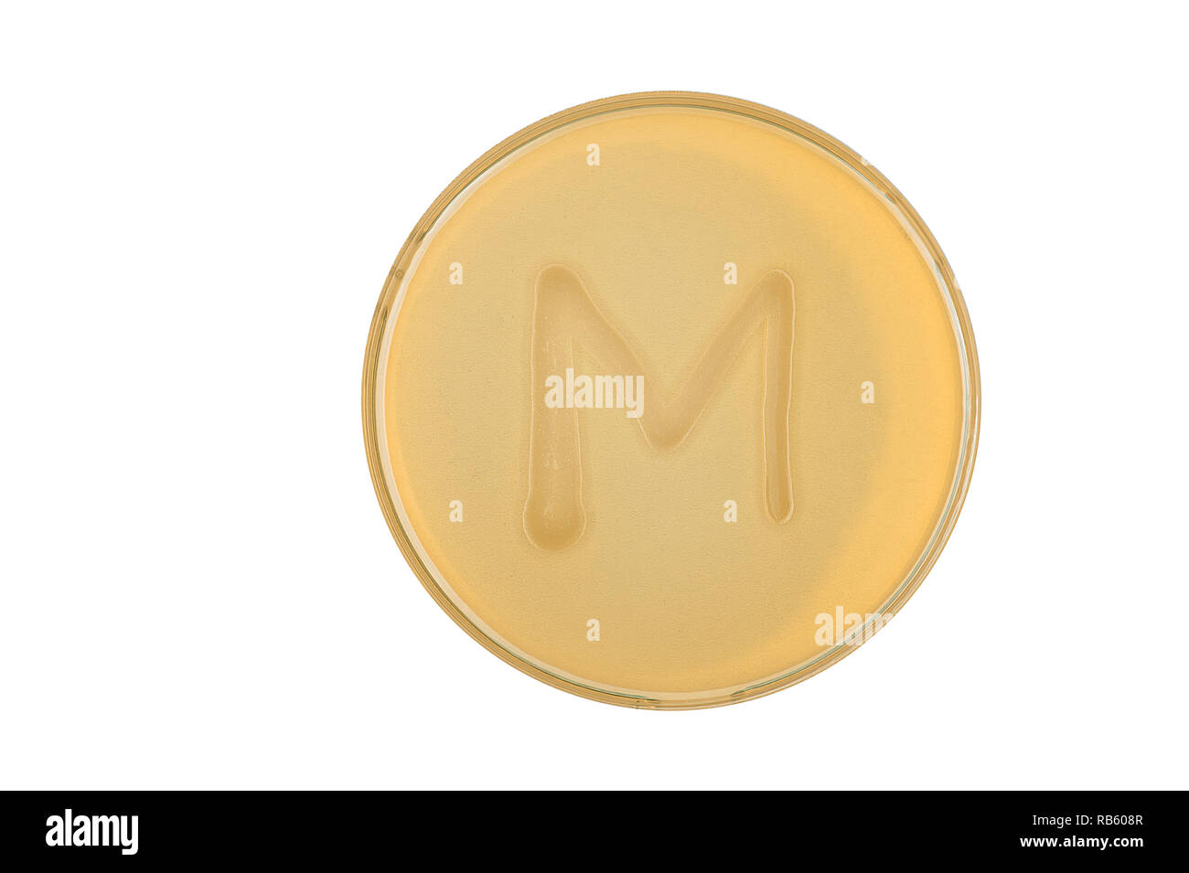 Alphabet made of bacteria escherichia coli culture on LB agar plate - letter m Stock Photo