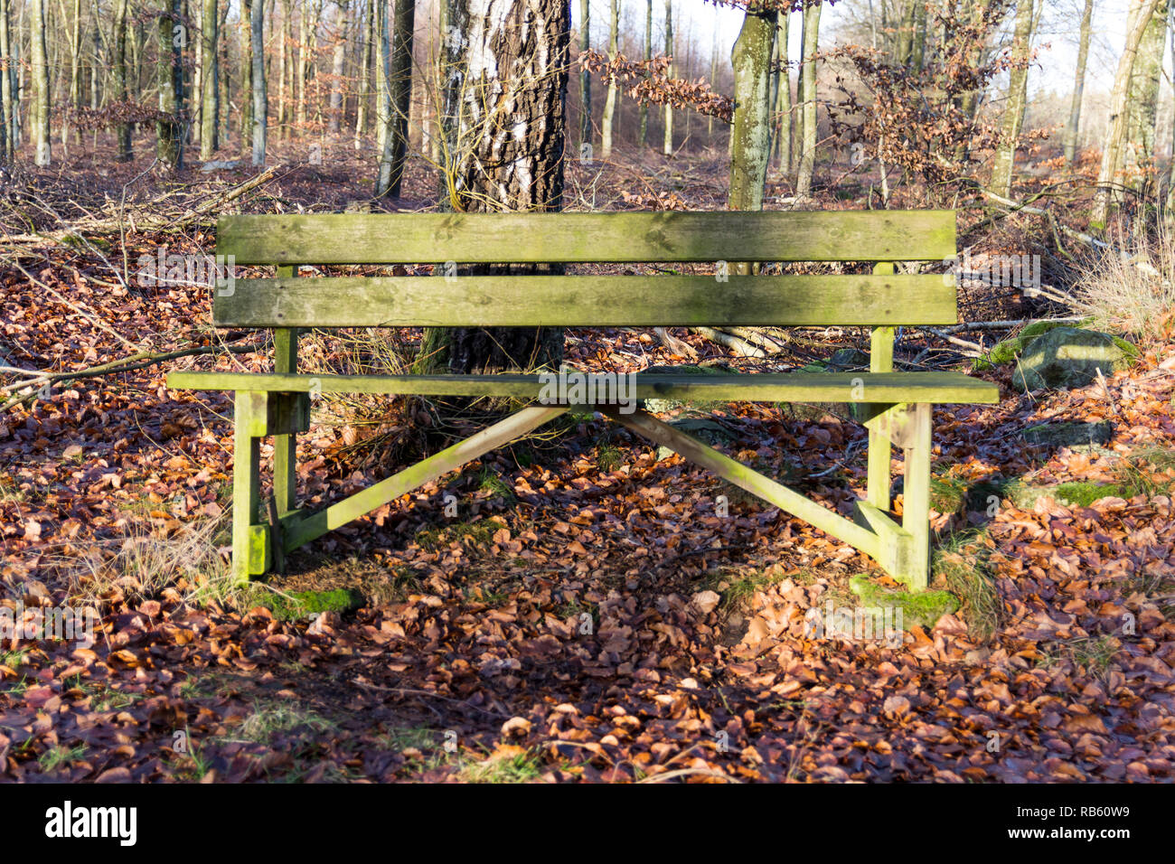 Old green bench to rest on in a forest Stock Photo - Alamy