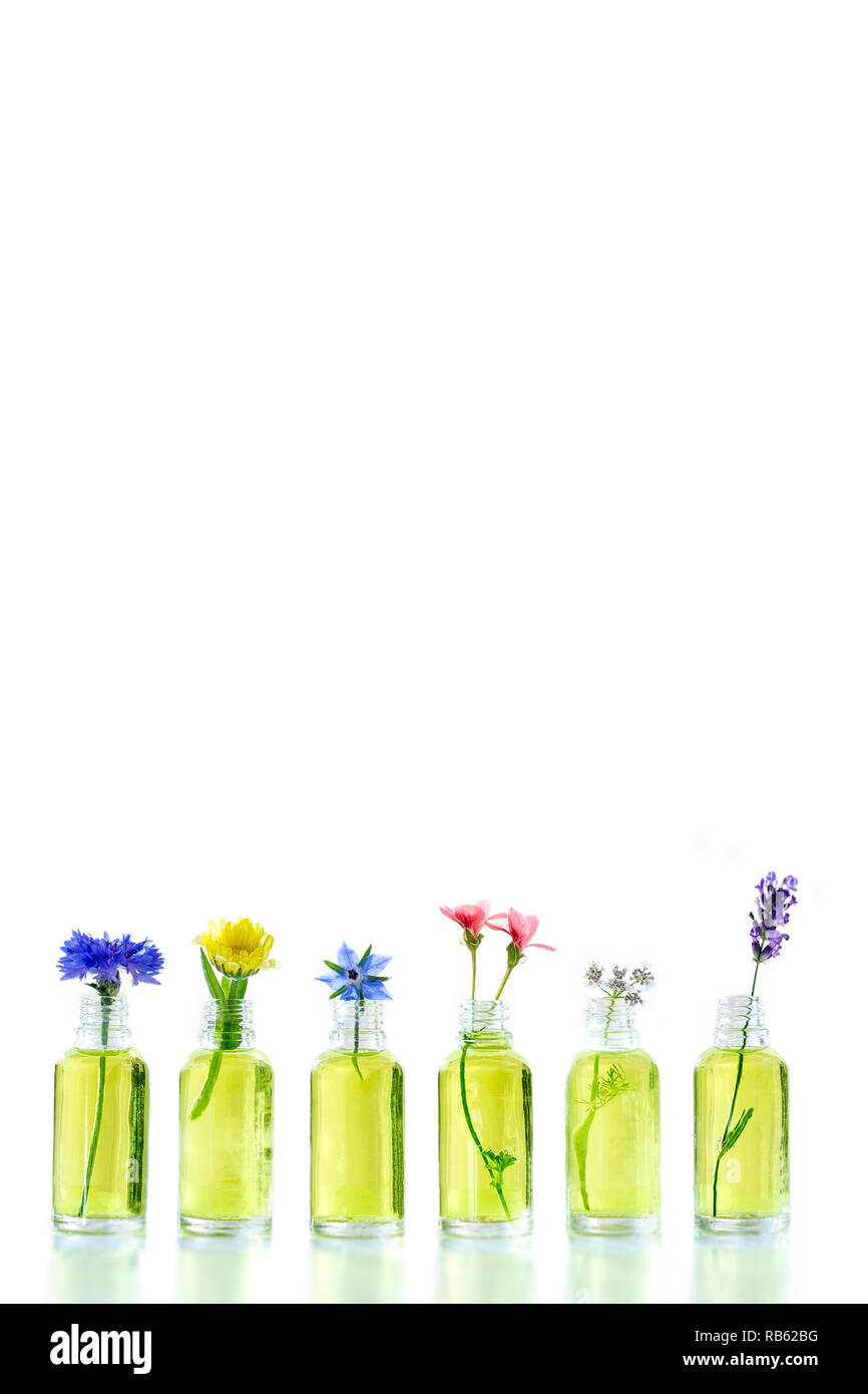 Different healing flowers in small glass bottles on white Stock Photo